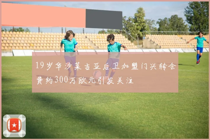 19岁华沙莱吉亚后卫加盟门兴转会费约300万欧元引发关注